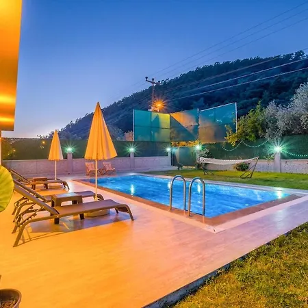 David In Gocek-inlice * 페티예