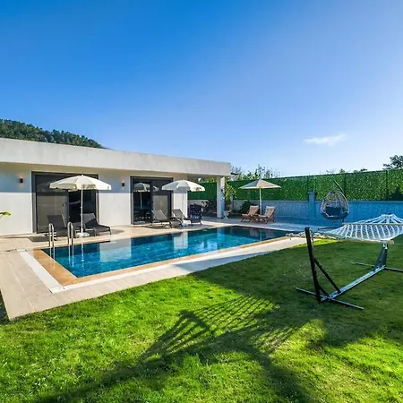 David In Gocek-inlice 페티예